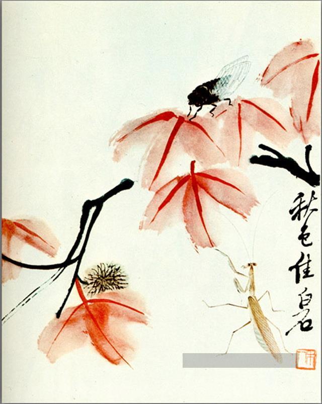 Qi Baishi likvidambra Taiwan et la cigale ancienne Chine à l’encre Peintures à l'huile